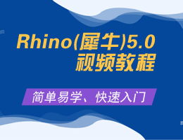 Rhino(Ϭţ)5.0Ƶ̳