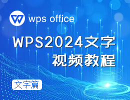 WPS2024Ƶ̳
